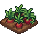 Ripe crop plot