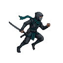 Shadow ninja